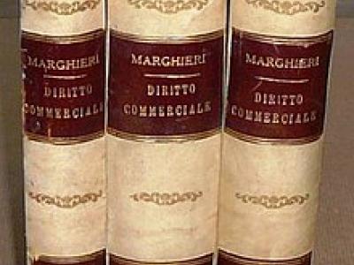 Il Diritto Commerciale Italiano esposto sistematicamente Il Diritto Commerciale Italiano esposto sistematicamente