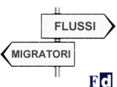 Il programma quadro SOLID: la disciplina comunitaria per la gestione dei flussi migratori Il programma quadro SOLID: la disciplina comunitaria per la gestione dei flussi migratori