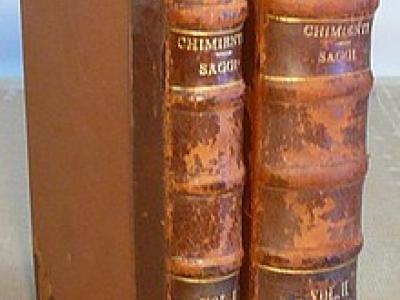Saggi. Diritto Costituzionale e Politica
