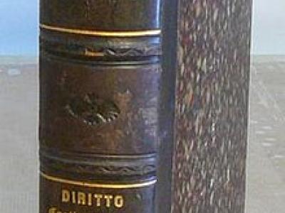 Paternostro. Diritto costituzionale, internazionale... Paternostro. Diritto costituzionale, internazionale...
