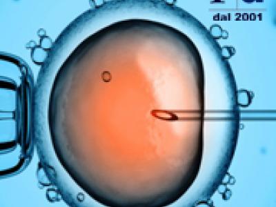 Tutela dell’embrione e ricerca scientifica: la consulta invoca l’intervento del legislatore Tutela dell’embrione e ricerca scientifica: la consulta invoca l’intervento del legislatore
