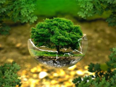 To Be or Not to Be Sustainable: the Care Ethics of the Environment vs. the Tragedy of the Commons To Be or Not to Be Sustainable: the Care Ethics of the Environment vs. the Tragedy of the Commons