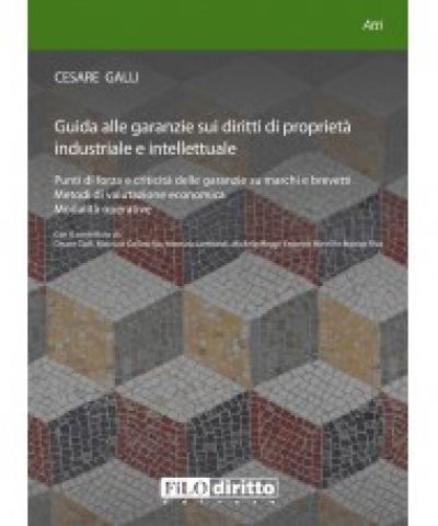 Guida alle garanzie sui diritti di proprietà industriale e intellettuale