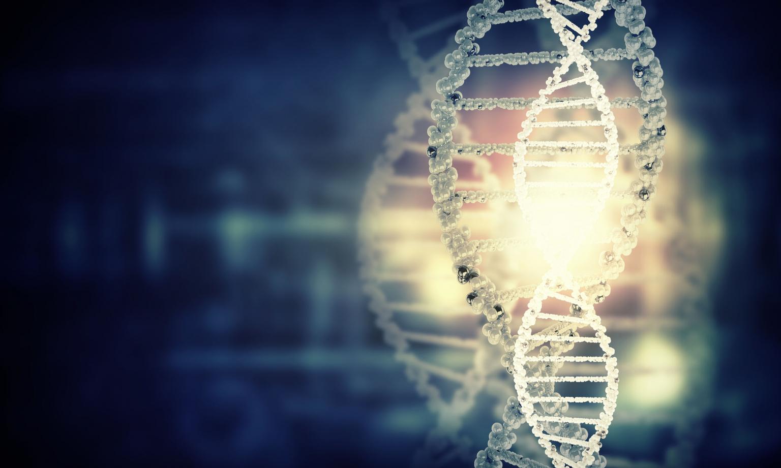 Scienza E Diritto Si Incontrano Alla Ricerca Dell Uomo Filodiritto