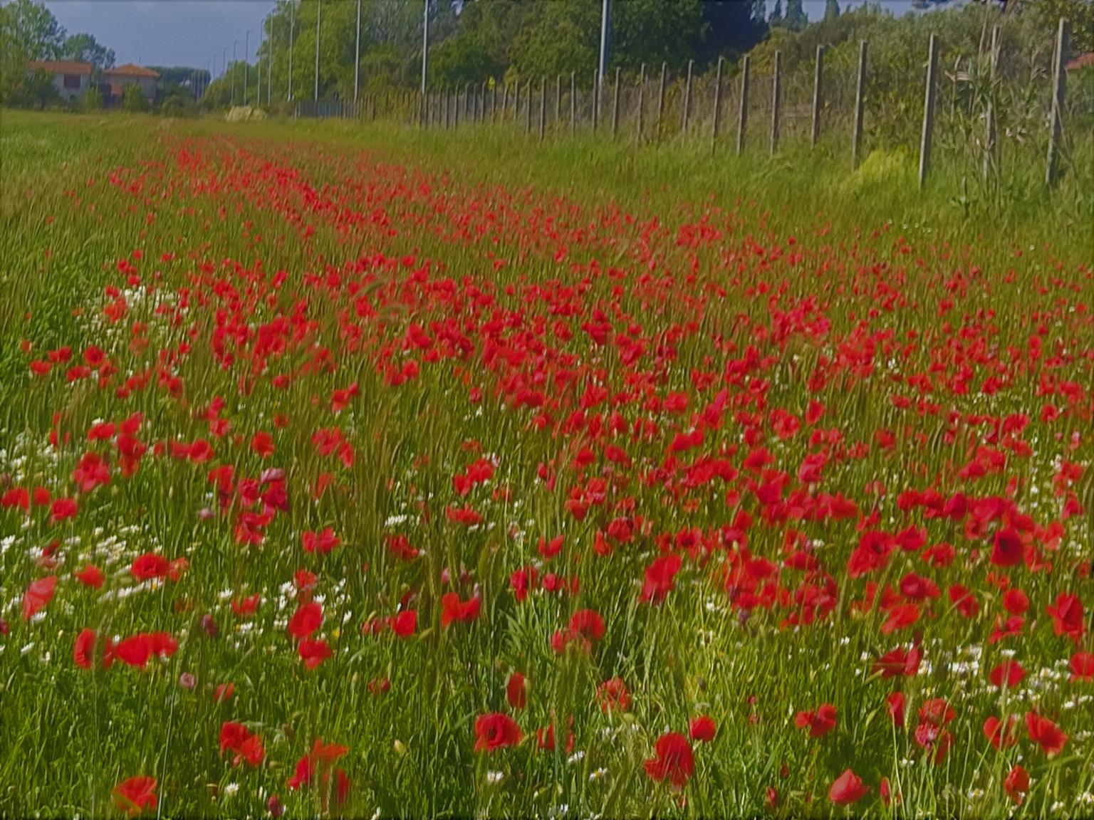 Rapina significato letterale e sistematico del delitto Filodiritto