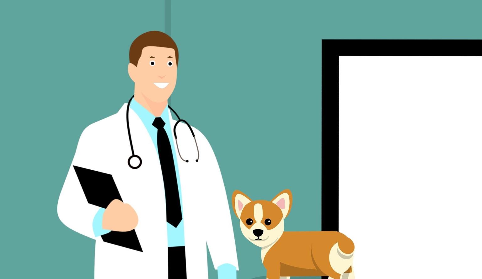 Consentimento informado em medicina veterinária |  filodereto