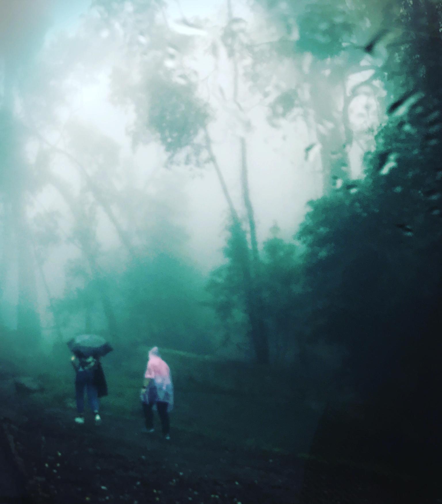 Istruireilfuturo | “Nella storia umana non era mai capitato che gli  educatori si imbattessero in una sfida paragonabile a quella rappresentata  dalla svolta attuale. Semplicemente, non ci eravamo mai trovati in questa, image size:1536x1749