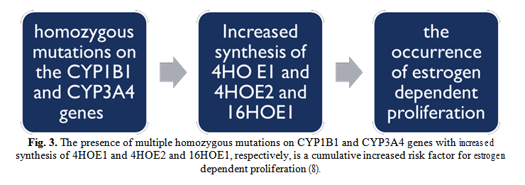 Genetic mechanisms in Endometriosis | Filodiritto